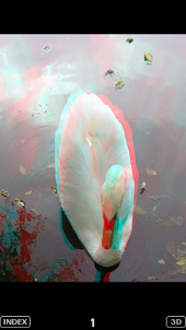 3D Popup Swan