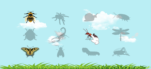 Bee Bug Toe Screen 2