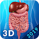 Digestive System - Androidアプリ