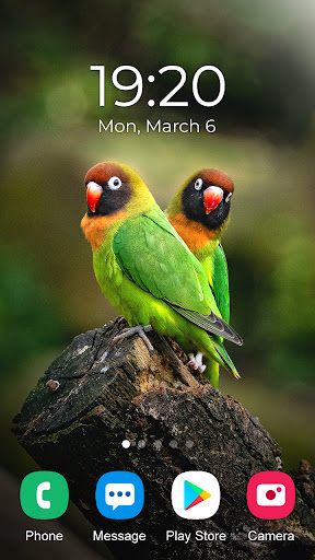 Parrot Wallpaper 2024 Screen 2