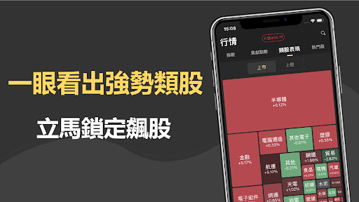籌碼大股東 - 跟著大股東買股票，飆股 主力 籌碼查詢 選股 Screen 3