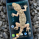 Gecko in Phone scary joke icon