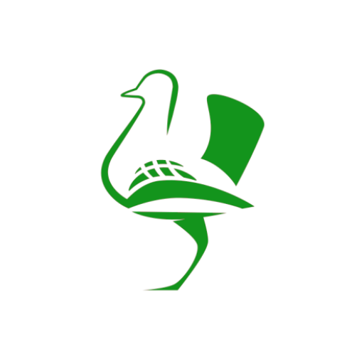 Castro Verde logo