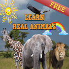 Learn Real Animals 1.0.8