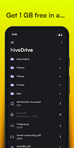 hiveDrive
