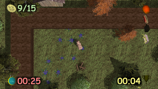 Roscoe the Scruff Ball