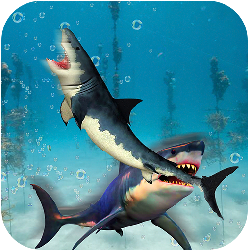 Shark Fighting Hungry Fish Sim Laai af op Windows