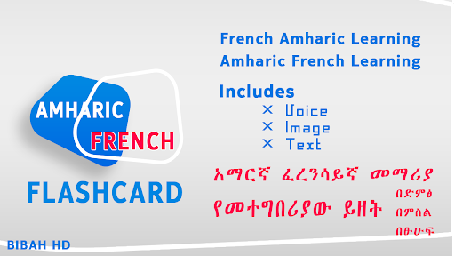 Android application Amharic French Flashcard Learn screenshort