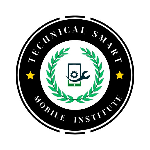 TSM INSTITUTE logo