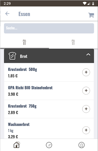 Riesenhuber Screen 2