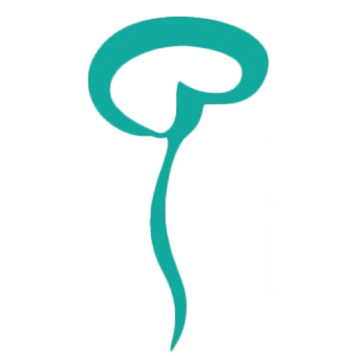 Instituto Neuro Saúde logo