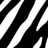 Zebra Keyboard Skin icon