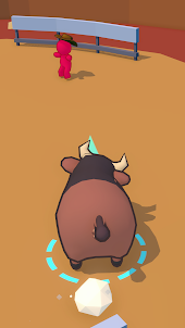 Bull Riding!