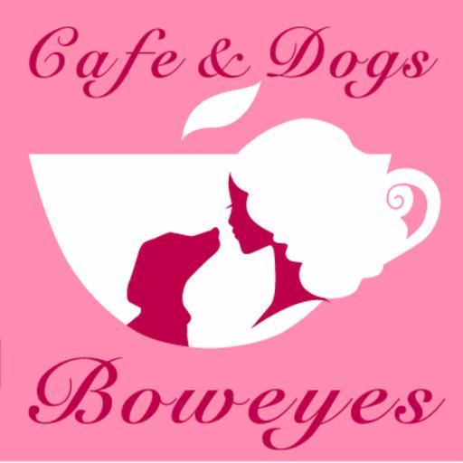 BOWEYES Laai af op Windows