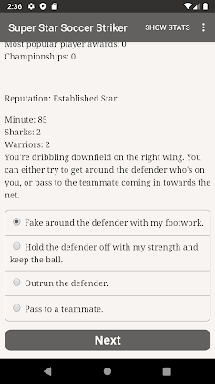 Super Star Soccer Striker - Screenshot 2