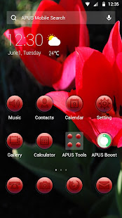 Gorgeous-APUS Launcher theme 595.0.1001 APK screenshots 1