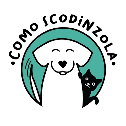 Como Scodinzola logo