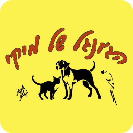 הגונגל של מיקי בית שאן logo