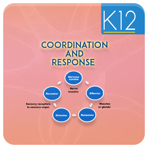 Coordination and Response logo