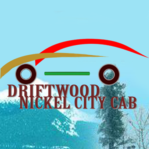 Driftwood Book Taxi logo