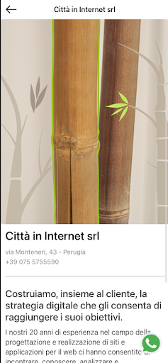 Città in Internet Screen 2