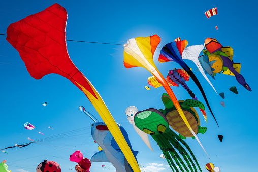 Kite Photo Download