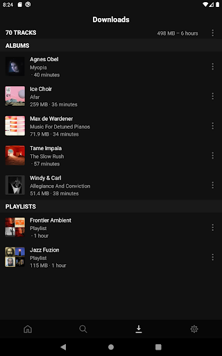 Screenshot of Plexamp