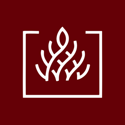 El Fuego Suítes logo