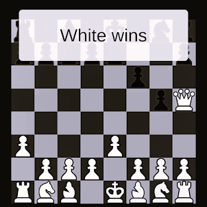 Chess 2 Player World Champion