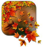 Autumn Leaf Live Wallpaper icon