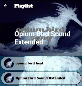 opium bird song
