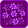 Beautiful Flowers LWP Pro Download on Windows