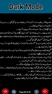 Dil Mil Gaye Urdu novel