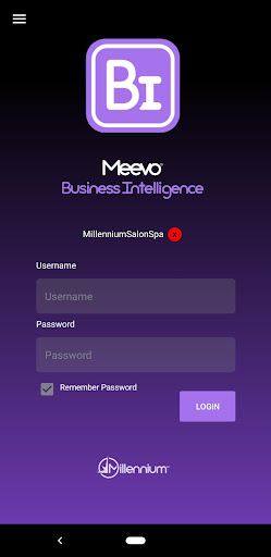 Meevo Business Intelligence Screen 2