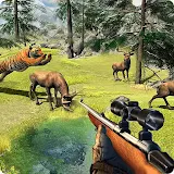 Deer Hunting Games-Wild Animal icon
