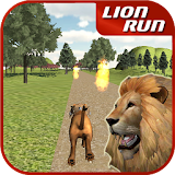 Animal Run - Lion icon