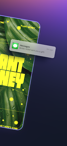 Birdie Screen 2