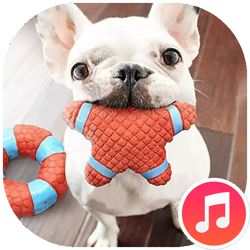 Squeaky Toy Sounds Download on Windows
