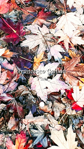 Android application Francesco Gallina screenshort