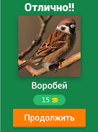 Угадайка Птичку