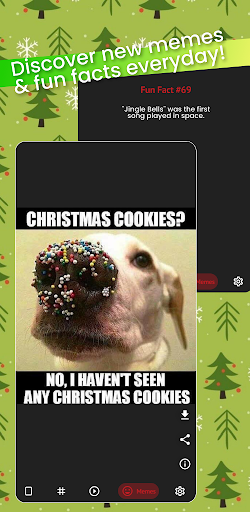 Christmas Wallpapers & Videos Screen 2