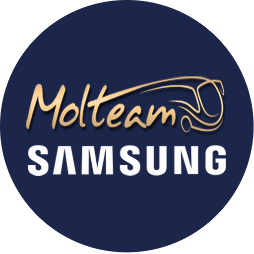 Molteam Menetrend logo