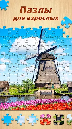 Game screenshot Пазлы для взрослых HD фото mod apk