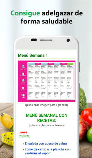 Dieta sana para perder peso Screen 2