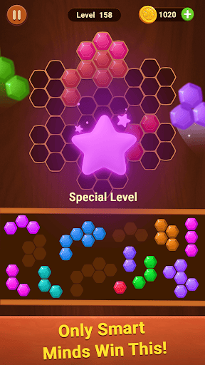 Hexa Block Puzzle Game screenshot