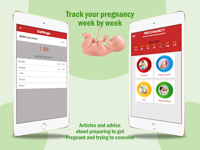 Pregnancy Care Tips Screenshot