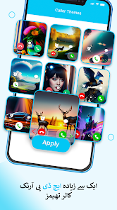 اسکرین شاٹ کی تصویر
