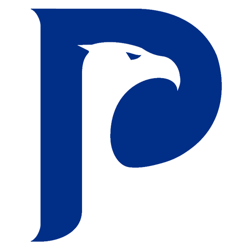 Polaris Travel Descarga en Windows