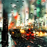 Rainy City Live Wallpaper HD icon