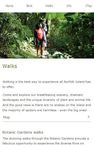 Norfolk Island Birds